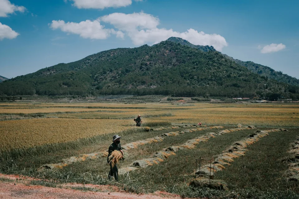 Kho gạo của Trần Thị Thuận